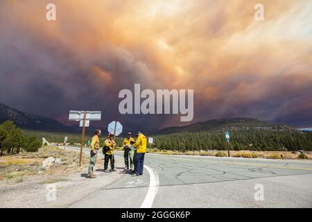 El Dorado County, États-Unis. 31/08/2021, Un grand panache de fumée provenant du feu de Caldor est visible depuis l'intersection des autoroutes 88 et 89 dans le comté d'El Dorado, en Californie. Le feu a traversé les montagnes de la Sierra Nevada et a brûlé lundi dans le bassin du lac Tahoe, provoquant des évacuations massives. Banque D'Images