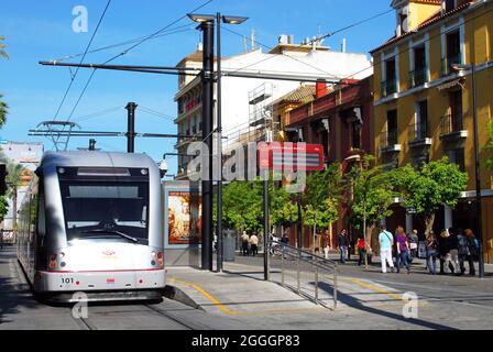 Tram le long de la Calle de San Fernando dans le centre-ville, Séville, Espagne. Banque D'Images