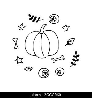 Citrouille au milieu des éléments de sorcière. Style Doodle. Branches de feuilles, os, globes oculaires, étoiles, feuilles. Articles de sorcières. Vecteur noir et blanc. Concept Hol Illustration de Vecteur