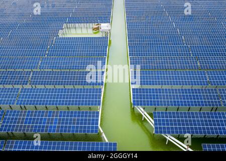 Photographie aérienne de panneaux photovoltaïques solaires industriels à énergie nouvelle au coucher du soleil Banque D'Images