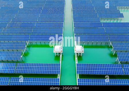 Photographie aérienne de panneaux photovoltaïques solaires industriels à énergie nouvelle au coucher du soleil Banque D'Images