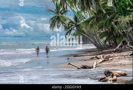 Deux hommes costariciens locaux qui marchent sur une belle plage de sable bordée de grands palmiers à noix de coco verts au Cosast du Pacifique du Costa Rica tropical. Banque D'Images