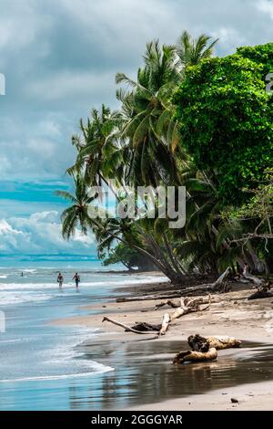 Deux hommes costariciens locaux qui marchent sur une belle plage de sable bordée de grands palmiers à noix de coco verts au Cosast du Pacifique du Costa Rica tropical. Banque D'Images