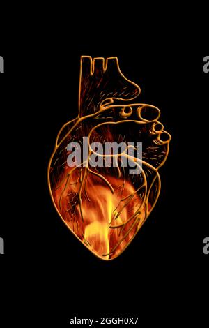 Illustration abstraite, un coeur brûlant dans le feu, le contour du coeur anatomique d'une personne. Haute qualité. Banque D'Images