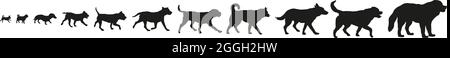 Ensemble de chiens de différentes races. Grandes, moyennes et petites races. Silhouette de chien noire. Isolé sur un fond blanc. Animaux de compagnie. Illustration vectorielle. Illustration de Vecteur
