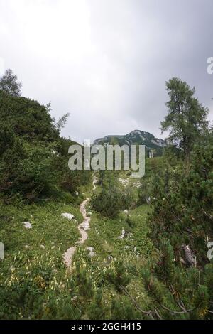 Sentier sinueux sur la randonnée de la vallée des sept lacs, Slovénie 2020 Banque D'Images