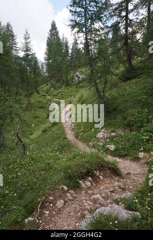 Petit sentier sinueux sur la randonnée de la vallée des sept lacs, Slovénie 2020 Banque D'Images