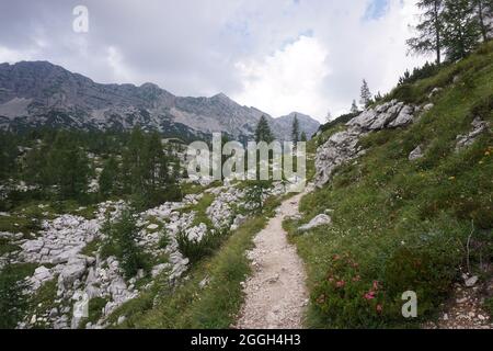 Petit sentier sur la randonnée de la vallée des sept lacs, Slovénie 2020 Banque D'Images