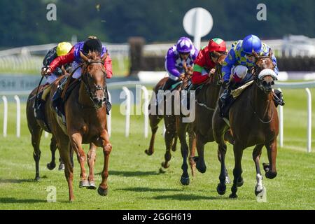 Photo du dossier datée du 16-07-2021, de Pat Dobbs à cheval sur l'intelligentsia (à gauche, manches rouges) sur leur chemin pour gagner les mises de B365 EBF Maiden Fillies à l'hippodrome de Newbury. Date de publication : le mercredi 1er septembre 2021. Banque D'Images