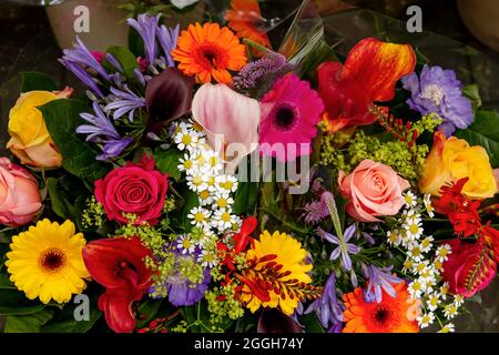 Bouquet de fleurs naturelles colorées contenant des roses, calenduda, camomille, lis d'arum, lys bleus et autres belles fleurs sauvages Banque D'Images