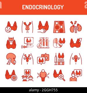 Jeu d'icônes de ligne de couleur Endocrinologie. Elément vectoriel isolé. Pictogrammes de contour pour la page Web, l'application mobile, la promotion. Illustration de Vecteur