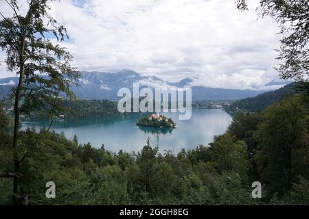 Sur le chemin jusqu'au point de vue au-dessus du lac Bled, Slovénie 2020 Banque D'Images