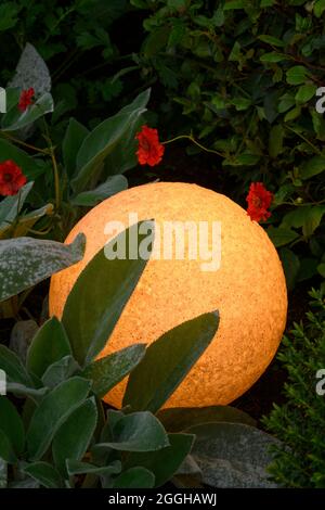 Globe lumineux élégant éclairé (gros plan) niché dans les geums à fleurs rouges - jardin privé paysagé au crépuscule, Yorkshire, Angleterre, Royaume-Uni Banque D'Images