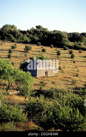 FRANCE. VAUCLUSE (84) RÉGION DU LUBERON. BORIES Banque D'Images