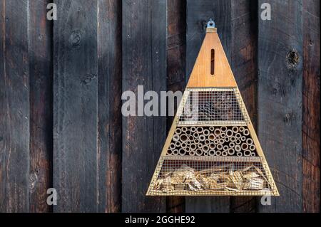 Insecte maison sur un mur en bois brun fait de planches sur un belvédère Banque D'Images