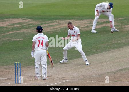 Jamie porter, d'Essex, célèbre la prise de la porte de Hamish Rutherford lors de la CCC de Glamorgan contre CCC d'Essex, LV Insurance County Championship Division 2 Banque D'Images