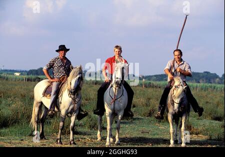 FRANCE. GARD (30) PETITE CAMARGUE (PETITE CAMARGUE). TUTEURS AU TRAVAIL Banque D'Images