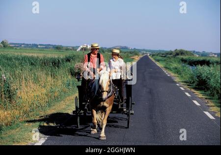 FRANCE. GARD (30) PETITE CAMARGUE (PETITE CAMARGUE). FÊTE VOTIVE Banque D'Images