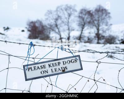 « Veuillez garder les chiens sur les pistes ». Panneau fixé à la clôture de stock, Highland, Écosse Banque D'Images