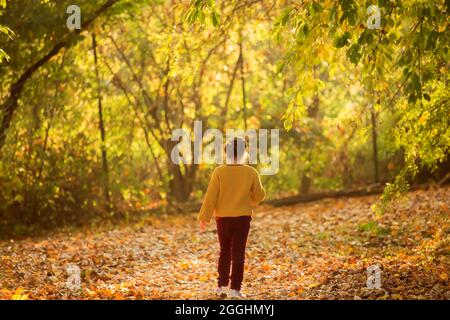 Une fille marche dans une belle forêt d'automne. Un enfant aime la nature dans un parc. Banque D'Images