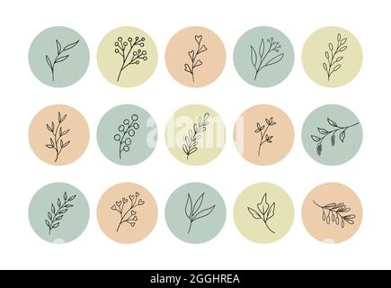 Mettez en surbrillance les icônes de couverture de l'histoire pour les médias sociaux, instagram. Fonds ronds vectoriels avec plantes dessinées à la main Illustration de Vecteur