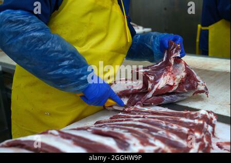 boucher les mains coupant de la viande à l'aide d'un couteau dans la salle de coupe. Banque D'Images