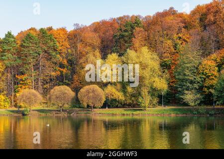 Magnifique paysage d'automne avec reflet dans le lac. Magnifique paysage d'automne. Banque D'Images