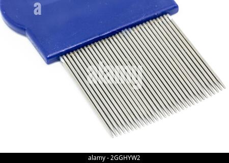 Gros plan d'un peigne à puces bleu isolé sur fond blanc. Banque D'Images