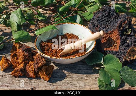 Thé de chaga - un antioxydant fort, stimule le système immunitaire. Sain pur naturel. Champignon de chaga sauvage, préparation de thé, café et remède à base de plantes Banque D'Images