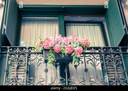 géranium rose dans un pot suspendu sur un balcon avec des rampes en fer forgé Banque D'Images