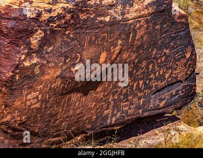 Journal indien Petroglyphes Rock Petrified Forest National Park Arizona. Symboles anciens créés entre 1499BC et 1000AD rayés sur les rochers par Banque D'Images