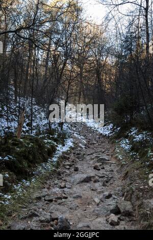 Allemagne, Forêt de Teutoburg dans la région de Munster, Ibbenbueren Banque D'Images