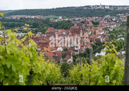 Europe, Allemagne, Bade-Wurtemberg, Besigheim, vue du vignoble escarpé à la vieille ville historique de Besigheim Banque D'Images