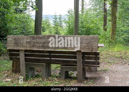 Europe, Allemagne, Bade-Wurtemberg, Forêt swabienne, Murrhardt, Aire de repos panoramique dans un endroit clair dans la forêt souabe Banque D'Images