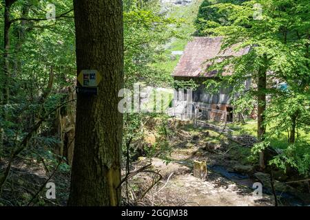 Europe, Allemagne, Bade-Wurtemberg, Parc naturel de la forêt souabe-franconienne, Welzheim, vue sur un ancien moulin sur les rives de la Wieslauf Banque D'Images