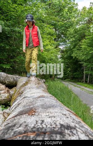 Europe, Allemagne, Bade-Wurtemberg, région de Schönbuch, Parc naturel de Schönbuch, le garçon se balance sur un tronc d'arbre à côté de la voie Banque D'Images