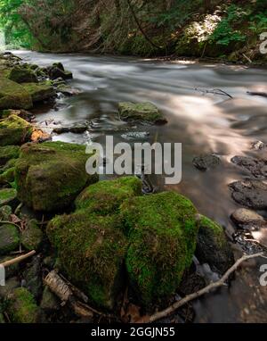 Roche mossy avec un ruisseau qui coule à travers les bois Banque D'Images