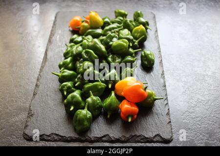 Poivrons de piment de Habanero sur un napperon en ardoise Banque D'Images