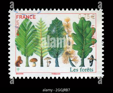 Le timbre imprimé en France montre l'image des forets, vers 2011. Banque D'Images