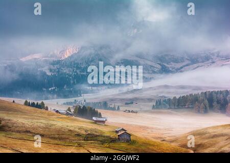 Paysage mystique de lever de soleil de brouillard de la célèbre prairie alpine dans les Alpes Dolomites sur fond nuageux Banque D'Images