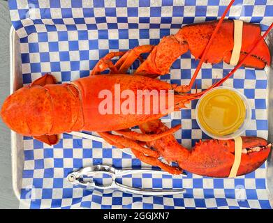 Délicieux homard fraîchement préparé à manger, Nouveau-Brunswick, Canada Banque D'Images