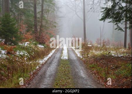 Sentier forestier, hiver, neige, Vielbrunn, Odenwald, Hesse, Allemagne Banque D'Images