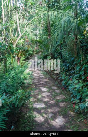 Chemin dans le jardin du Museo Leymebamba, au nord du Pérou. Ce musée abrite les momies trouvées à Laguna de los Condores. Banque D'Images