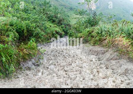 Sentier boueux près du village de Leymebamba dans le nord du Pérou Banque D'Images