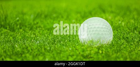 Balle de golf dans l'herbe en gros plan Banque D'Images