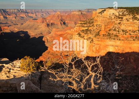 Vue depuis Cape Royal, North Rim, parc national du Grand Canyon, Arizona, États-Unis, États-Unis Banque D'Images