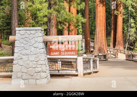 Entrée à Mariposa Grove, séquoias, parc national de Yosemite, Californie, États-Unis, ÉTATS-UNIS, Banque D'Images