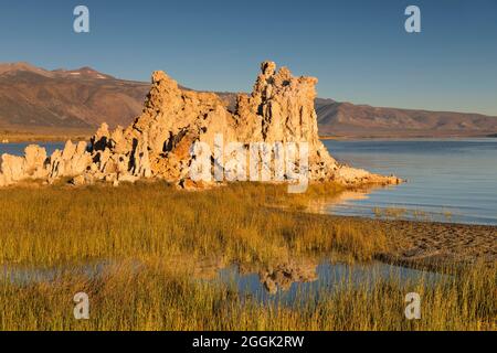 Formations tufa à Mono Lake, réserve d'État de Mono Lake tufa, Californie, États-Unis, Banque D'Images