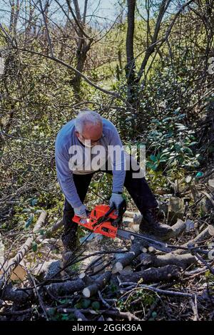 un homme aux cheveux blancs hache du bois dans la forêt Banque D'Images