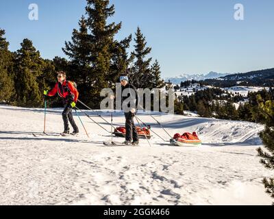 Ski avec luge de pâte à papier à travers la réserve naturelle de la Réserve naturelle des hauts plateaux du Vercors Banque D'Images